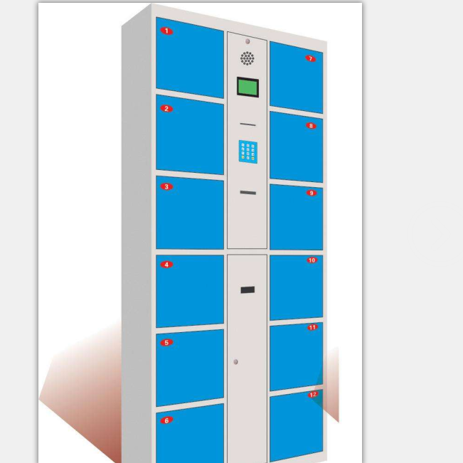 ZX-C208条码型12门存包柜